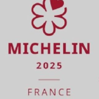 logo michelin moselle mini